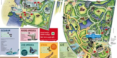 Mapa Rotterdam zoo 